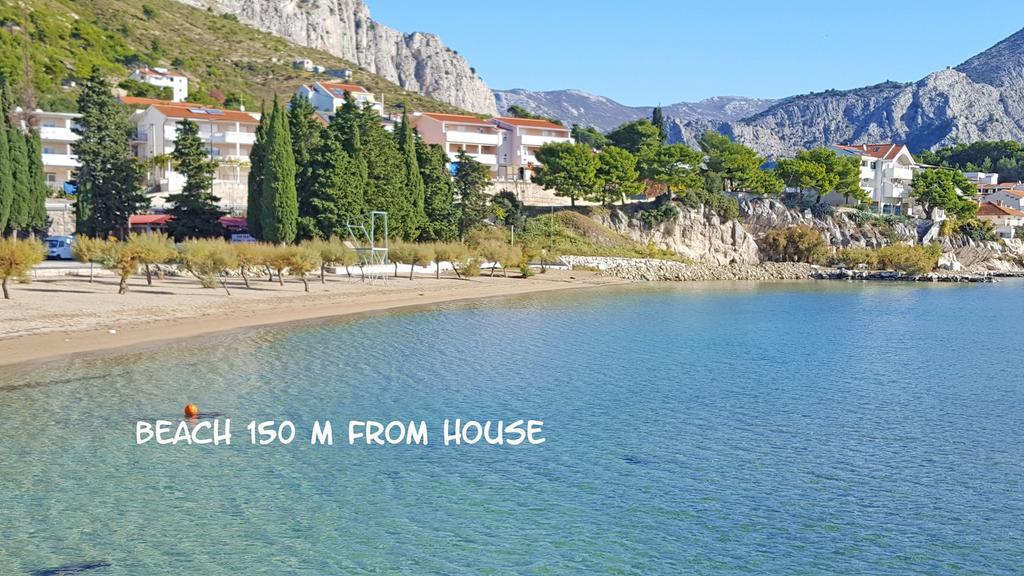 Lavander Omis Duce