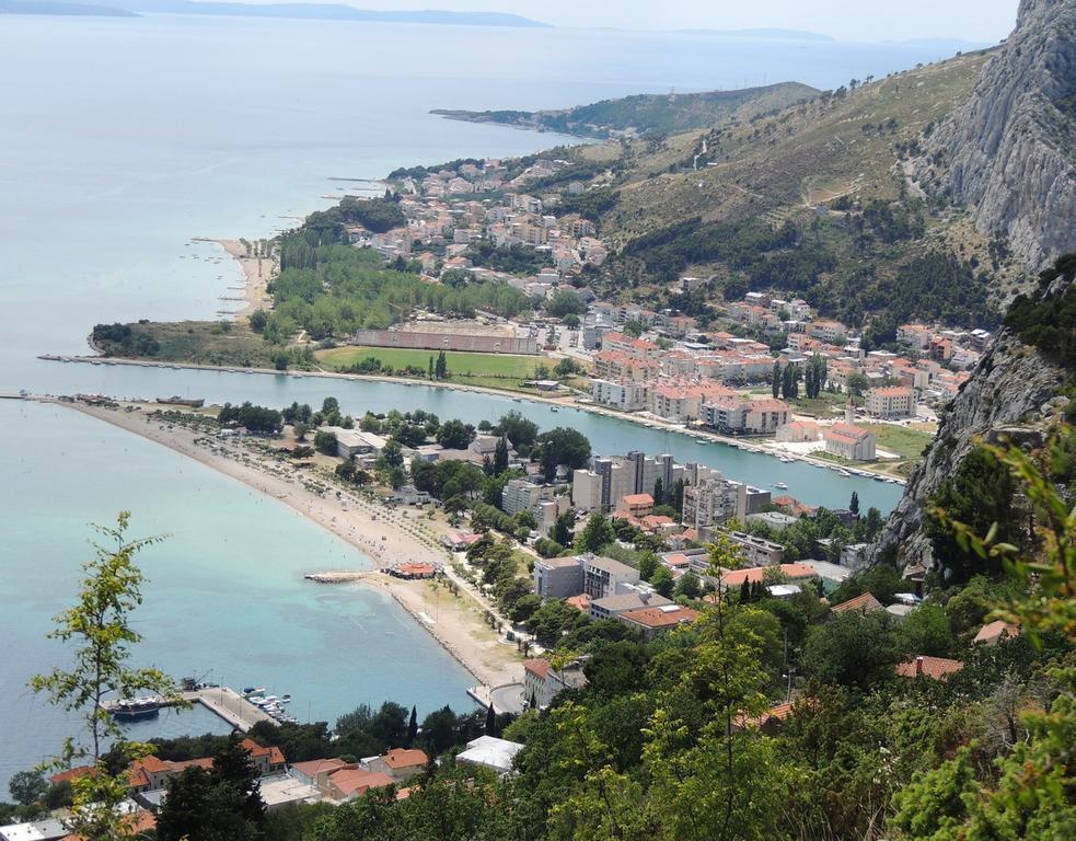 Lavander Omis *